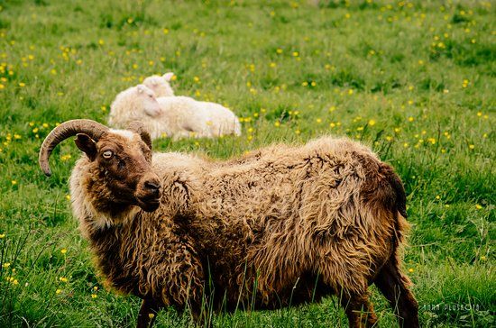 History Museum of Reykjanesbaer